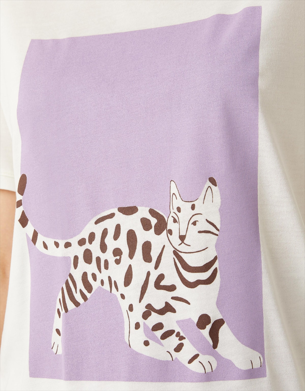 image_ce60fcdf-0e1d-40dd-956f-1ee2cde020e5