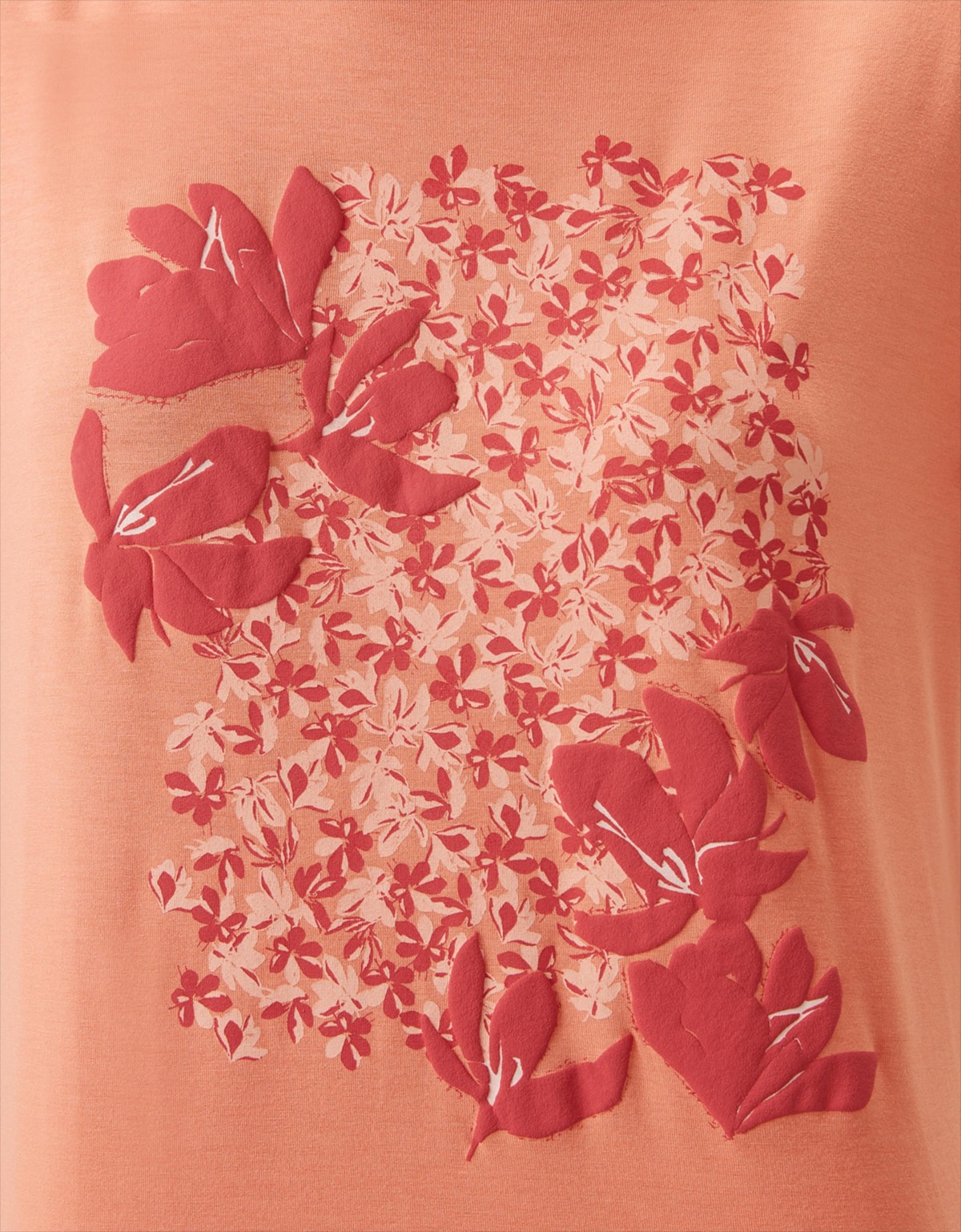 image_5c41819d-dcf3-4c17-b03c-c48f259a2770