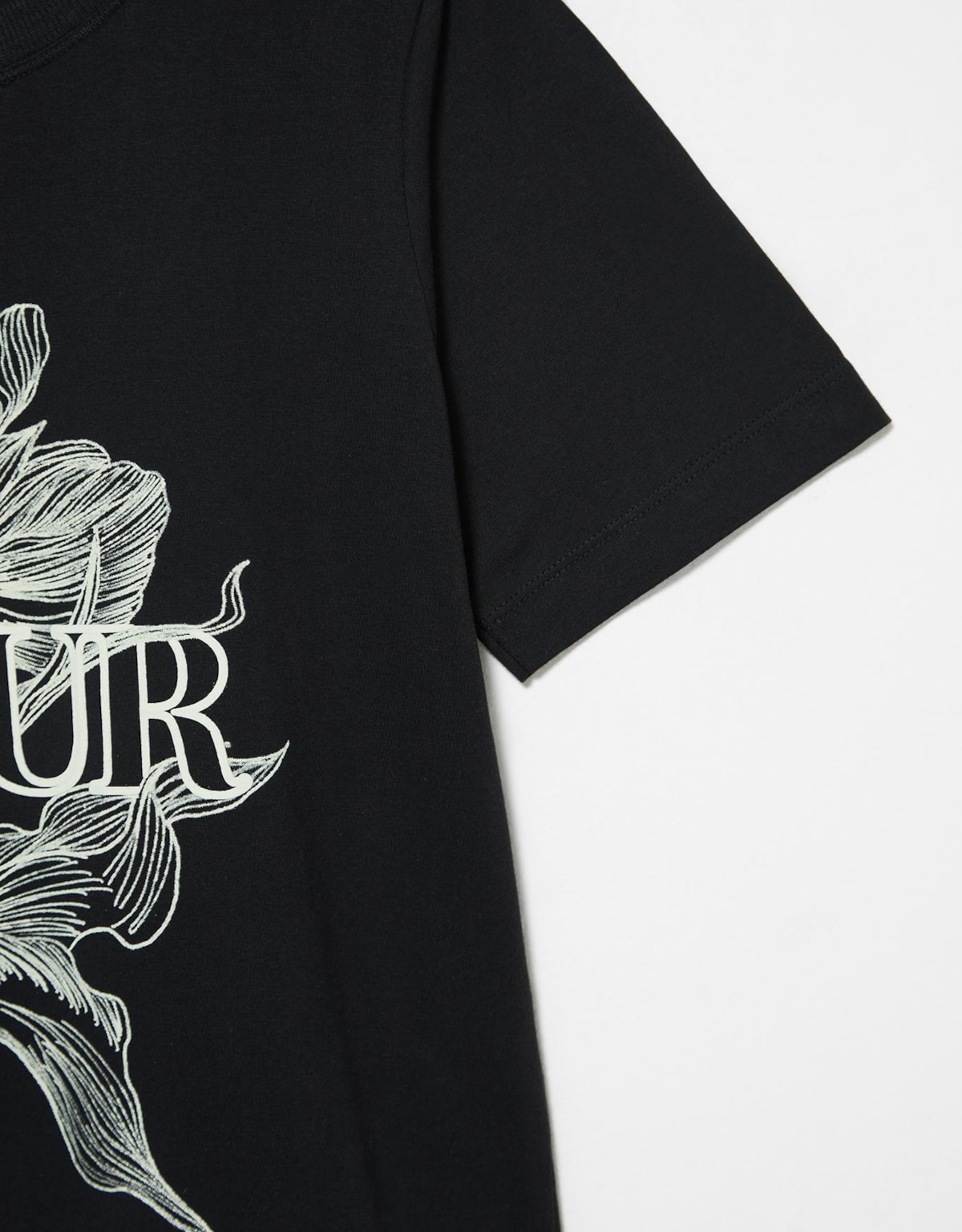 image_e8eb80aa-00b2-499d-b591-ead267137e7b