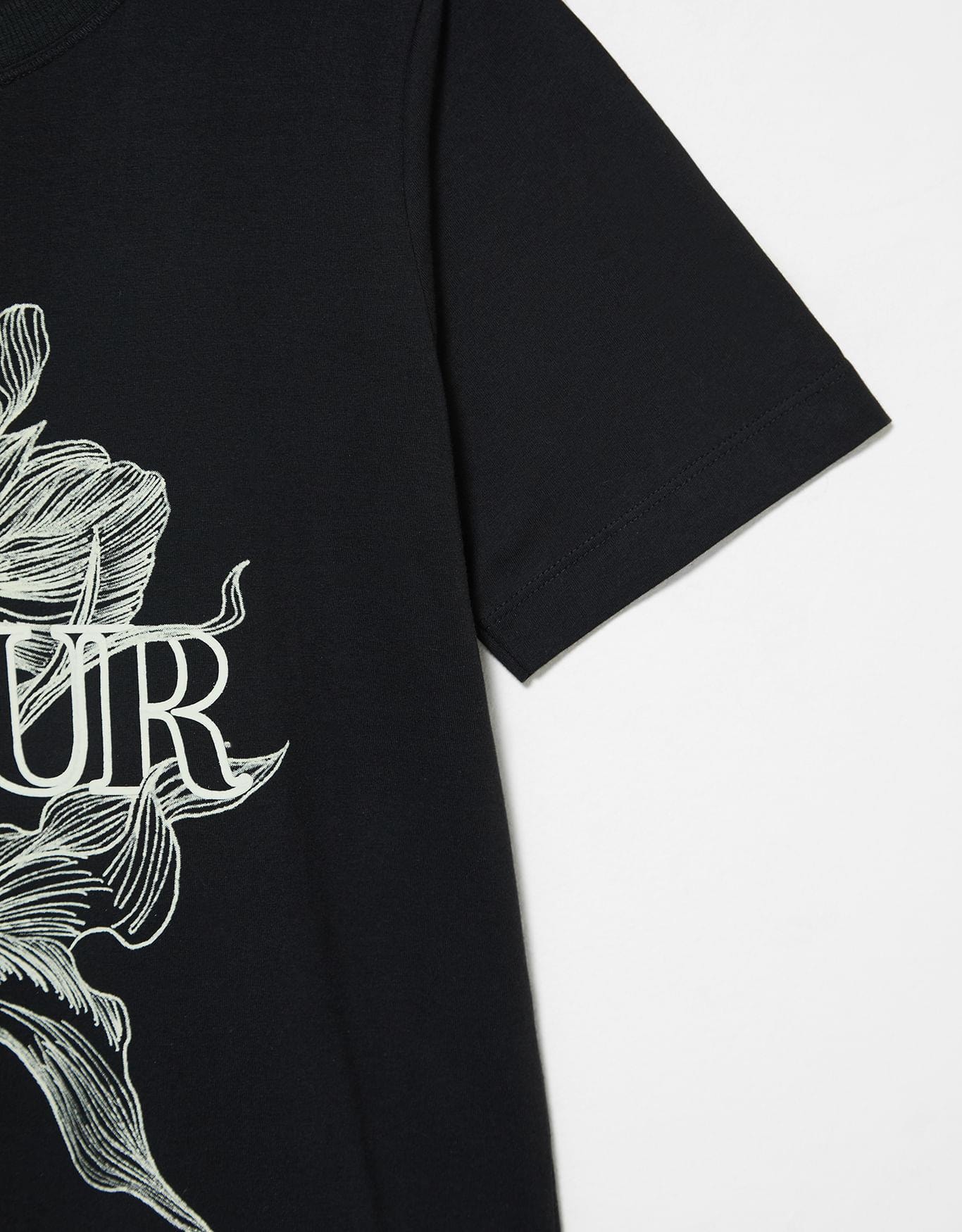 image_2d1afa6a-f342-4751-a9eb-9c8cf1823e93