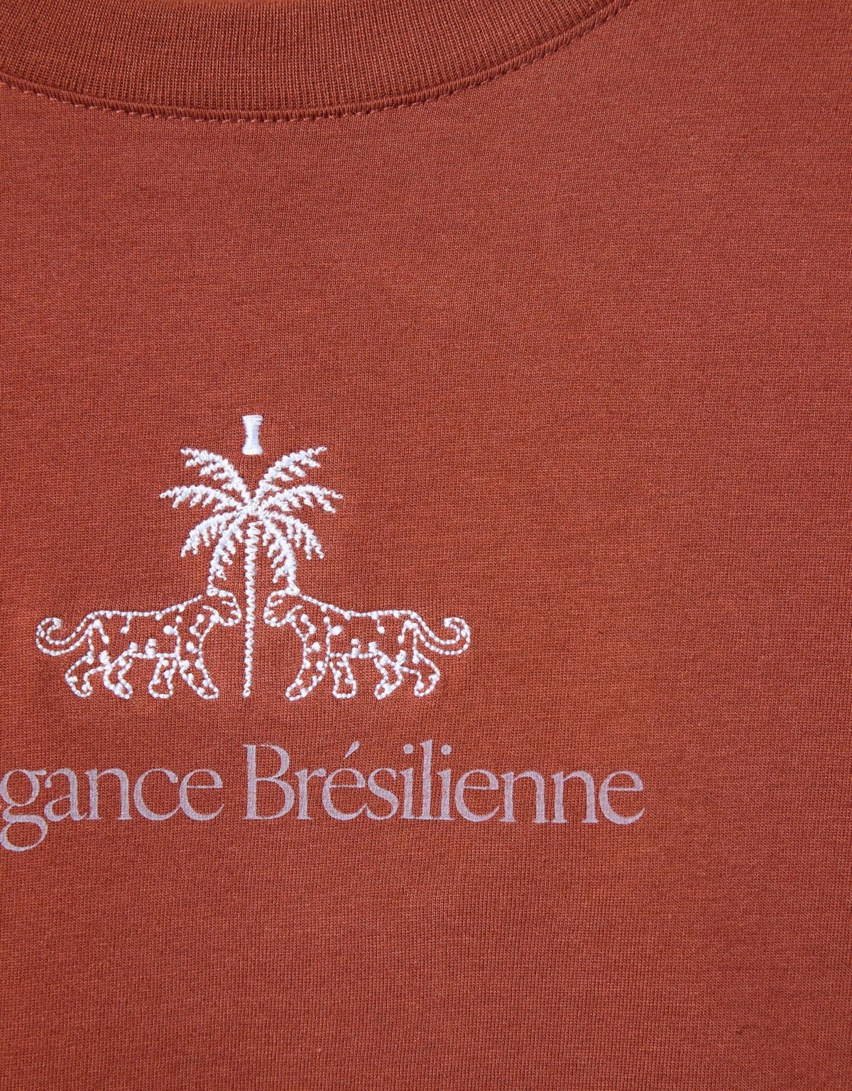 image_9d05e35d-157d-4852-8d26-daa139880b5f