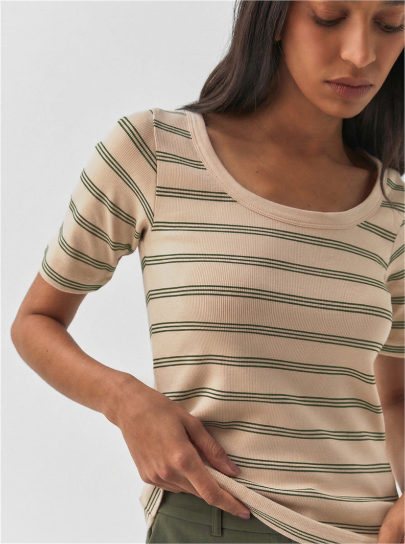 image_aa768fda-5d9d-4ad3-bc20-3514b75333a6