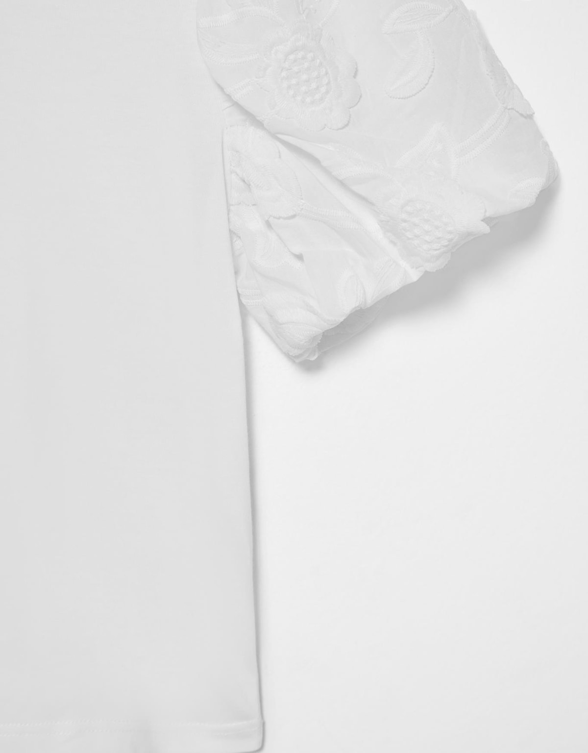 image_00a11766-357f-4e2a-8b95-cdd820f55fee