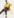 Color AMARELO 