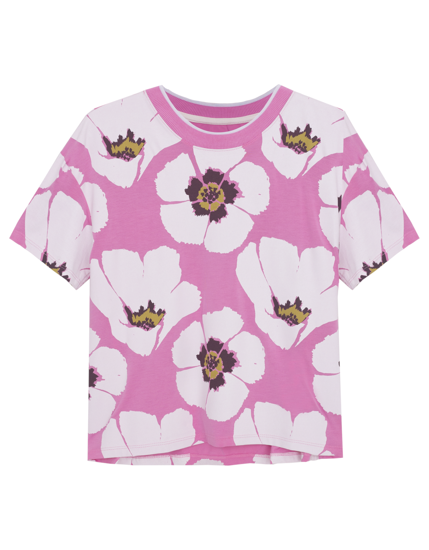 image_bd7831ea-dc57-429b-81bc-3c9c71c17e35