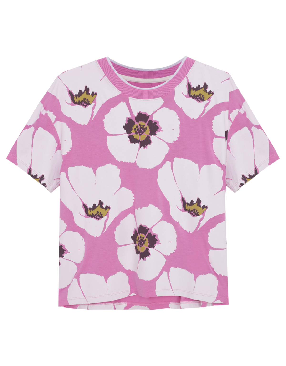 image_1e5695cd-fff3-4bcd-b86e-ed48c2666401