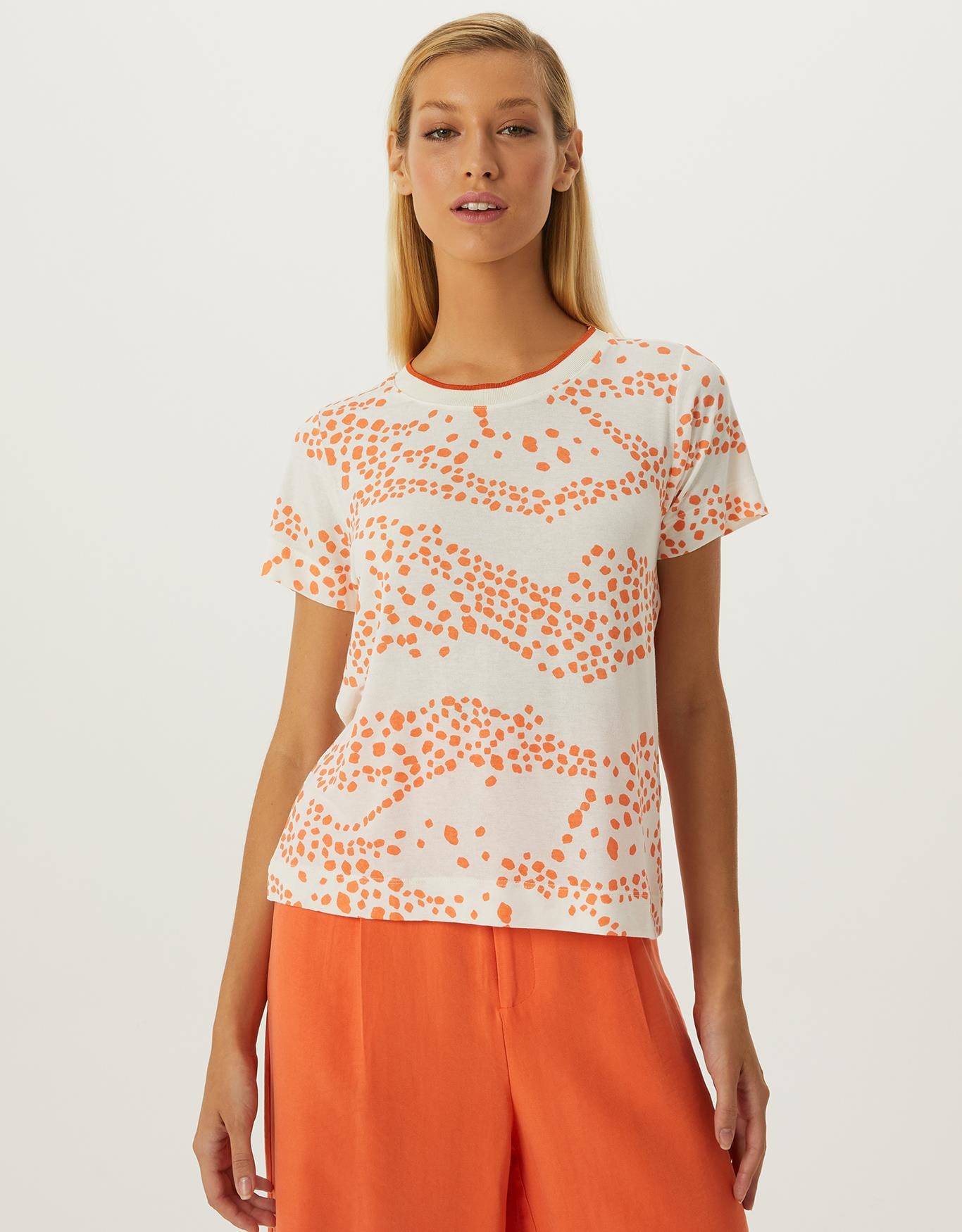 image_2034fecd-7ffe-422c-b9a2-550b94611e27