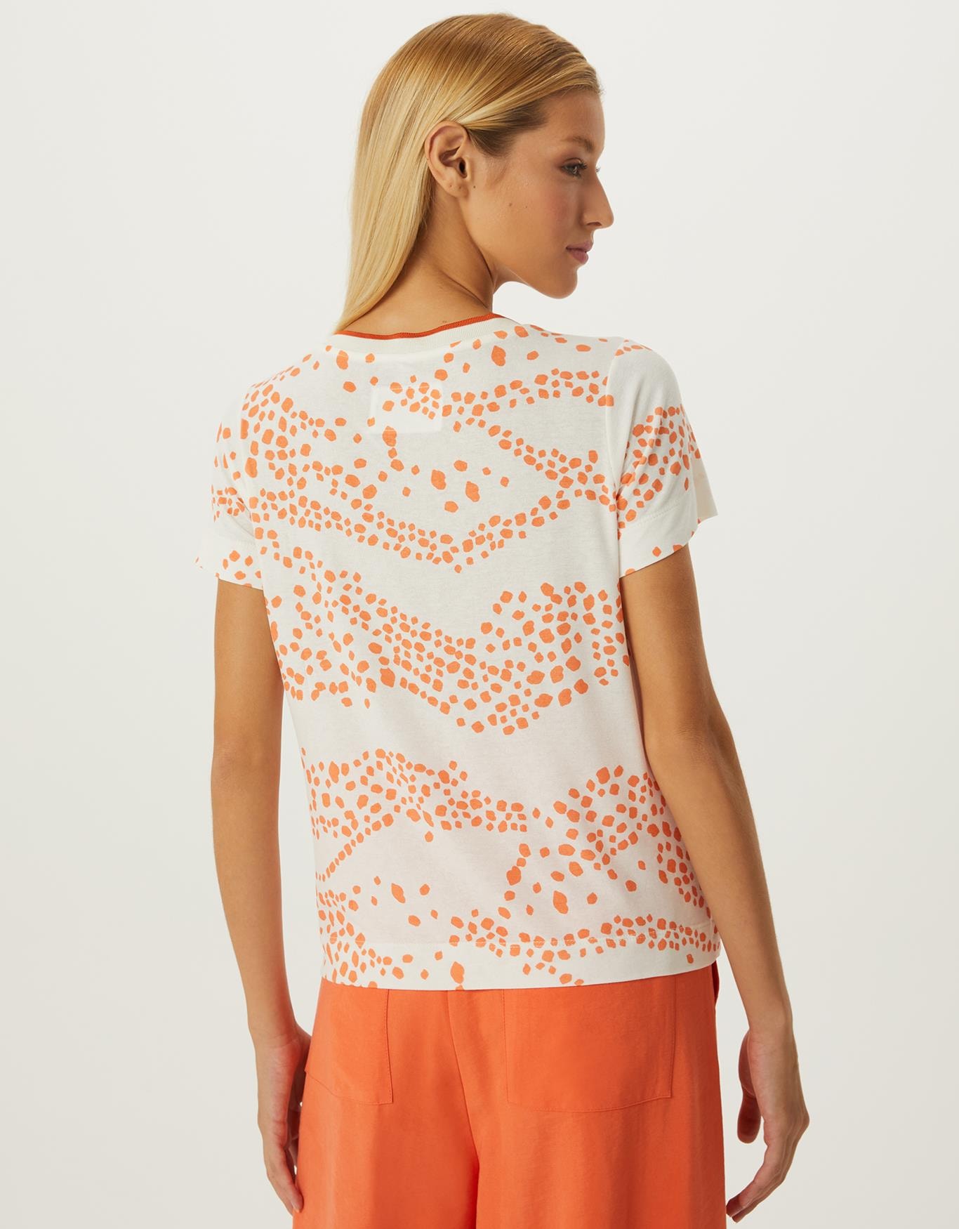 image_d13d3e9c-8013-46d8-a752-7396ba3b07aa