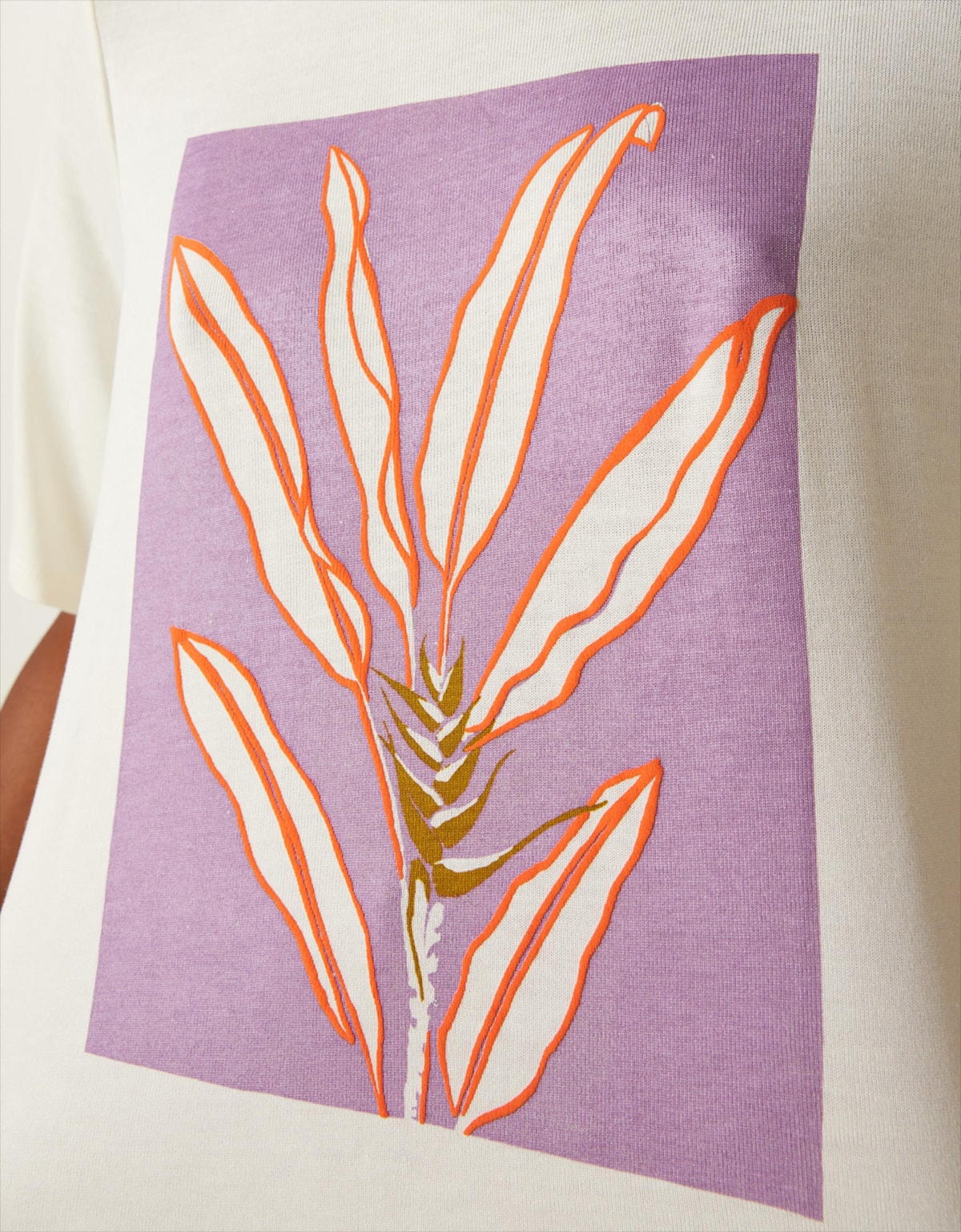 image_f6d0b0a1-3b34-4ab6-b538-c74dd6077604