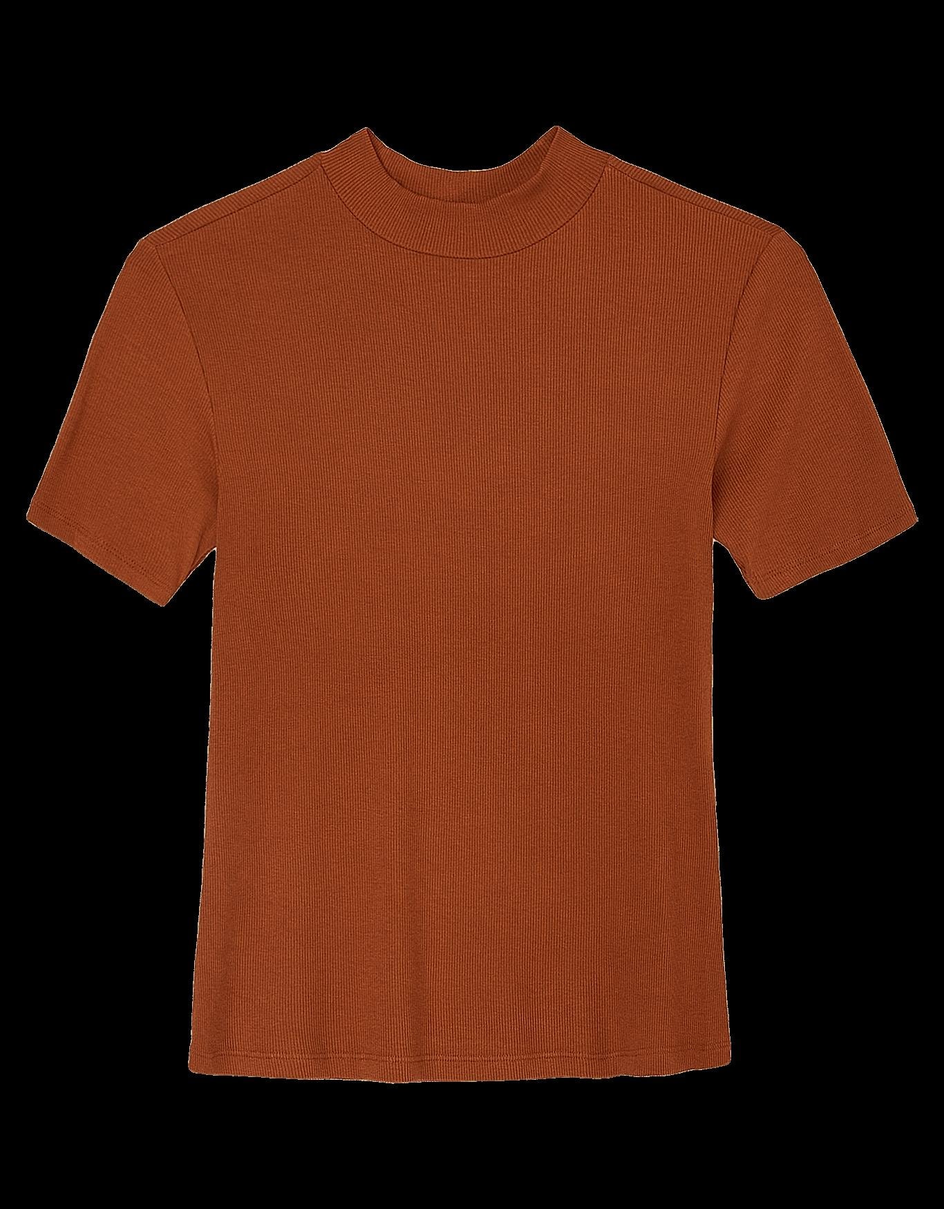 image_2a4dc360-8529-4049-8779-4b6077a2a11a