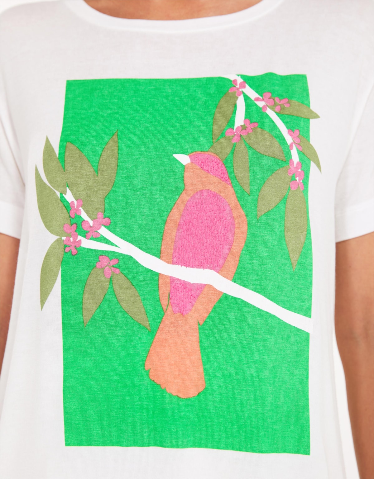 image_b1d6470e-045e-4df0-aaa9-1b02f18d374c