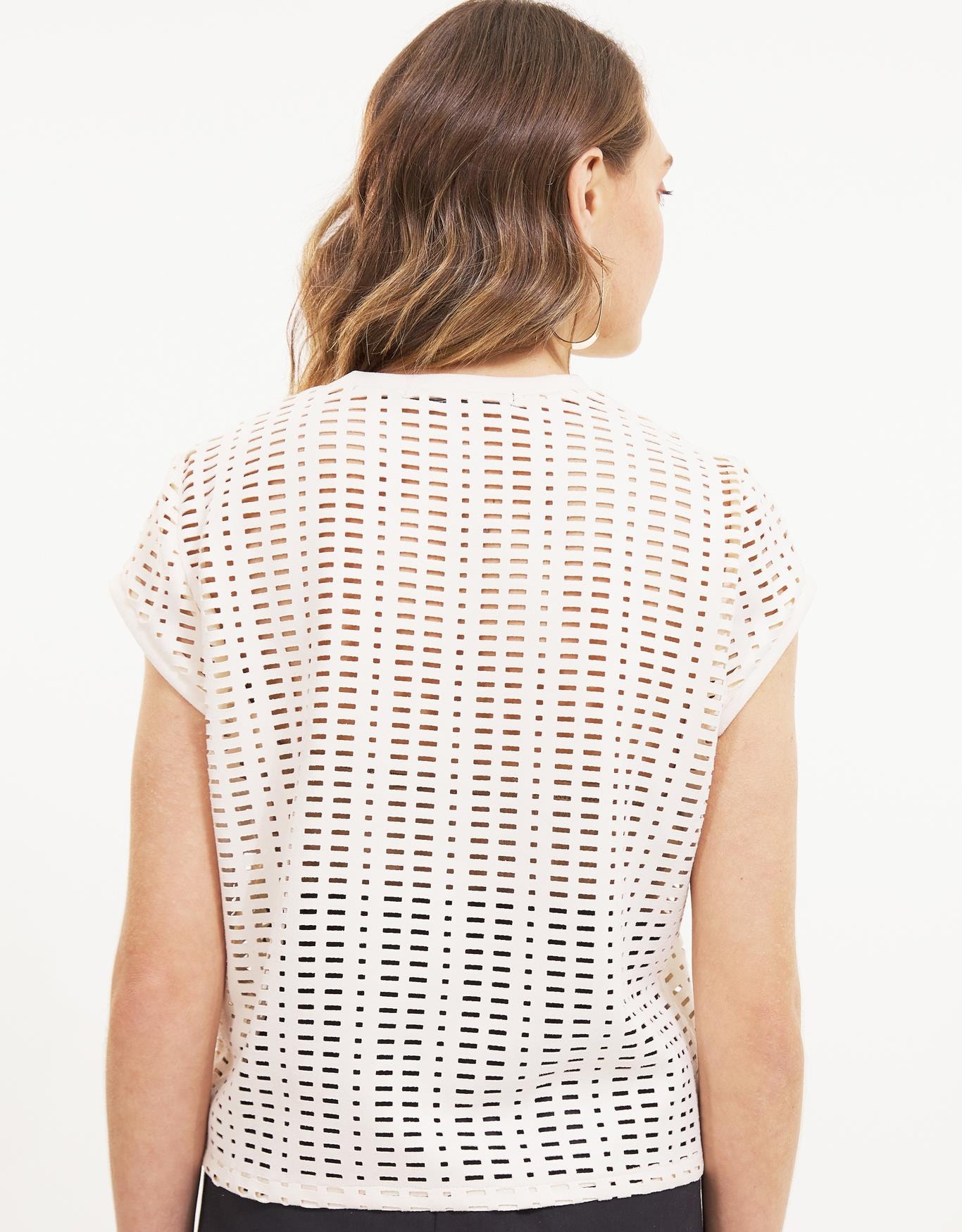 image_d6b039d9-20ef-4620-bf9b-bada3e35880c