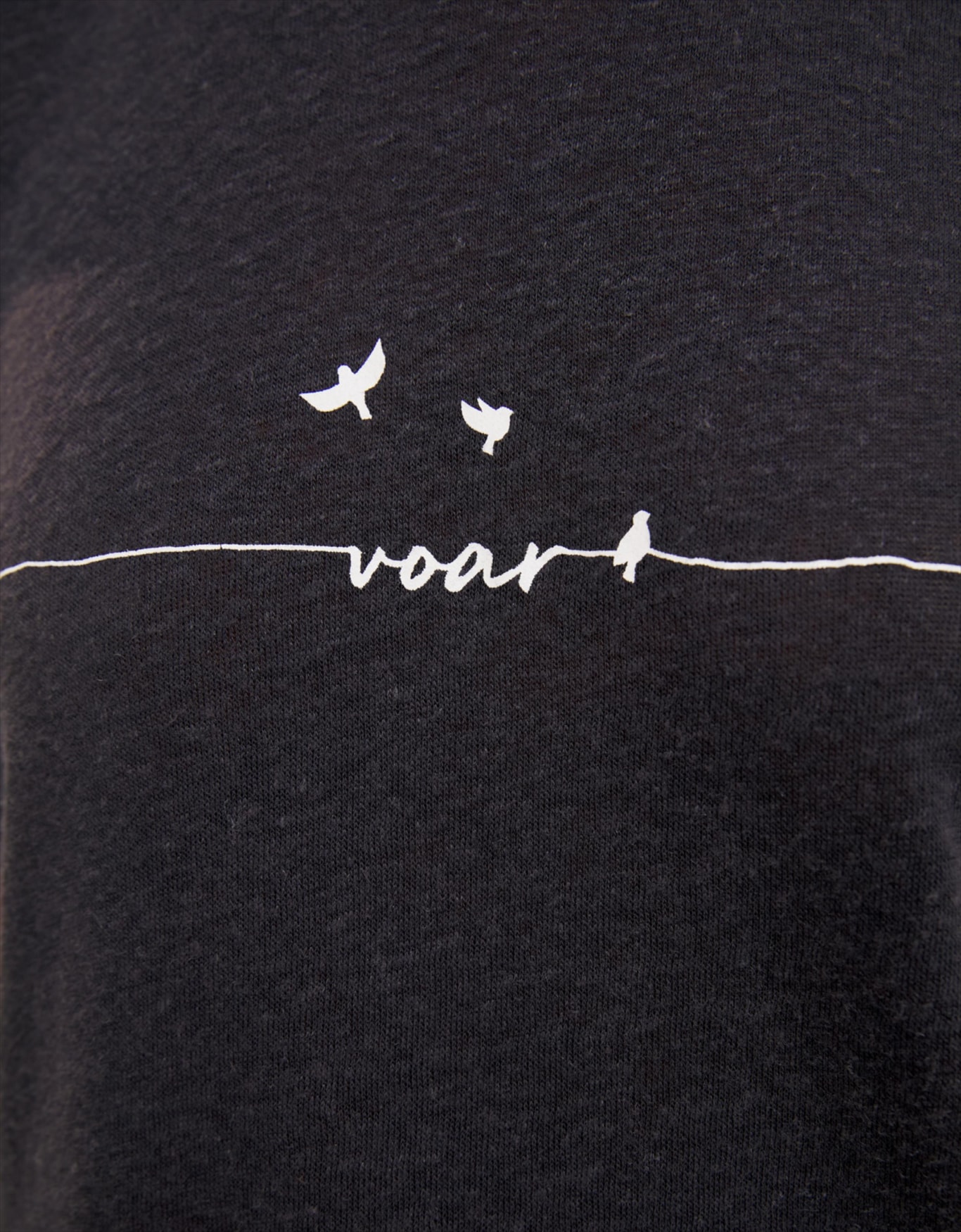 image_d827ce46-3be6-482f-a48f-7422f2db02a8