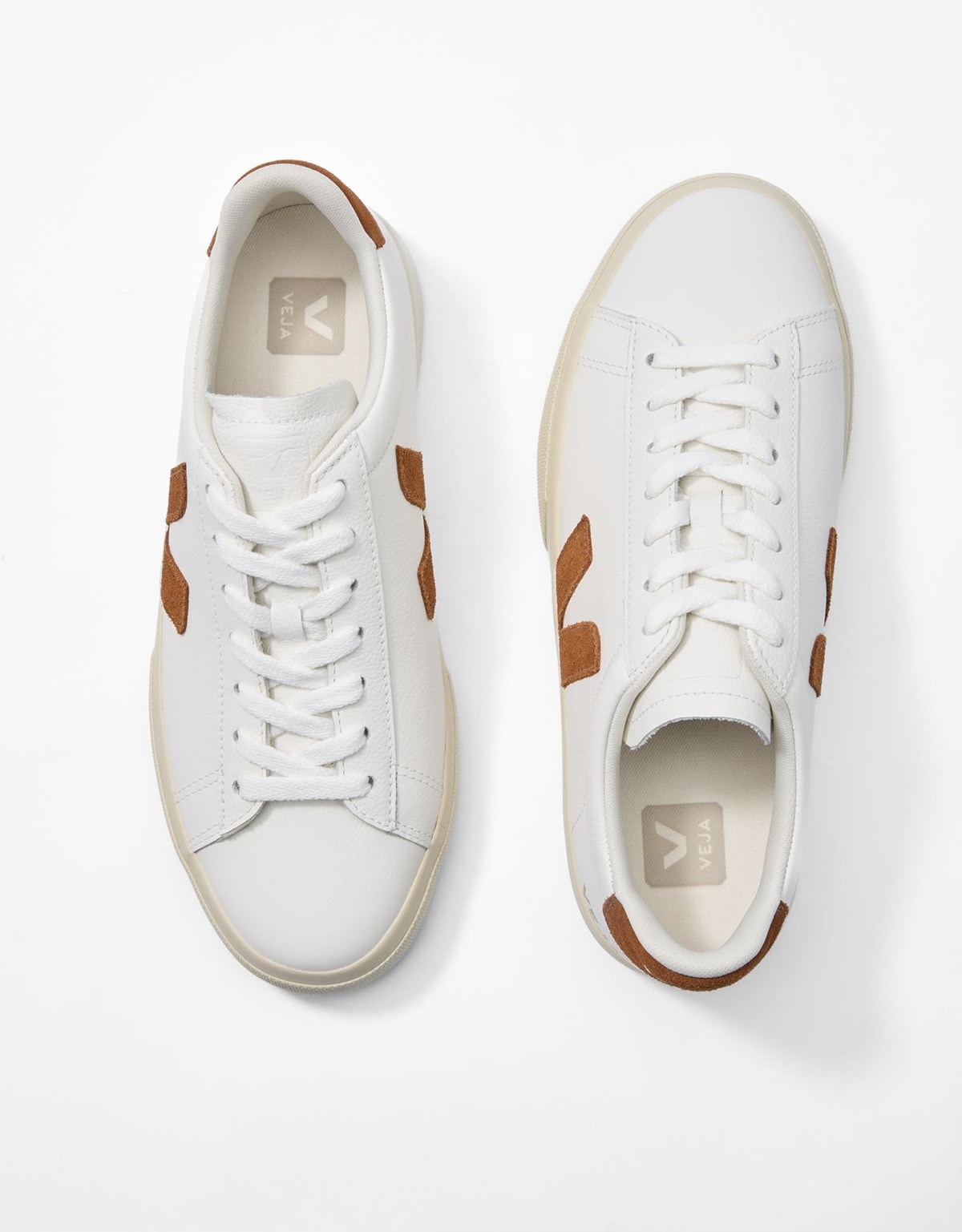 image_f4fad56b-35ad-40a6-9b12-7d42a46f3db3