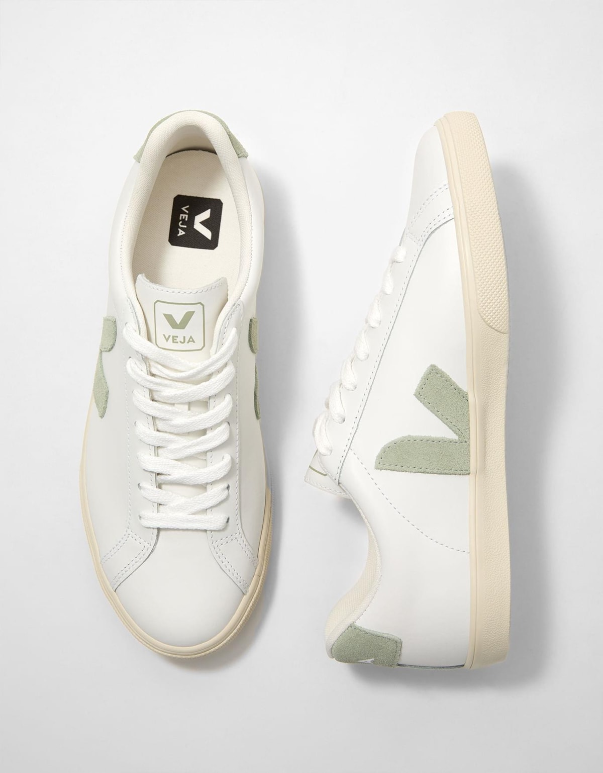 image_953bc98f-ab55-496b-b0de-774d0b34e355