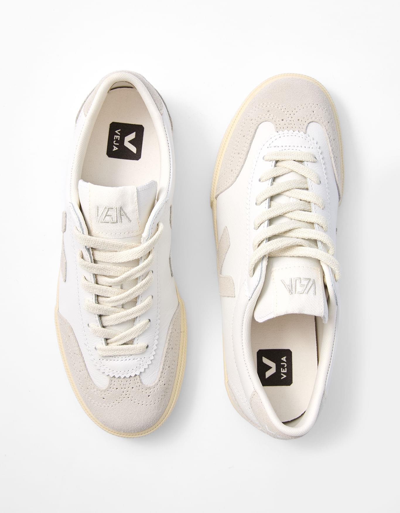 image_c92ac6a8-86ab-4474-81db-75fa59293830