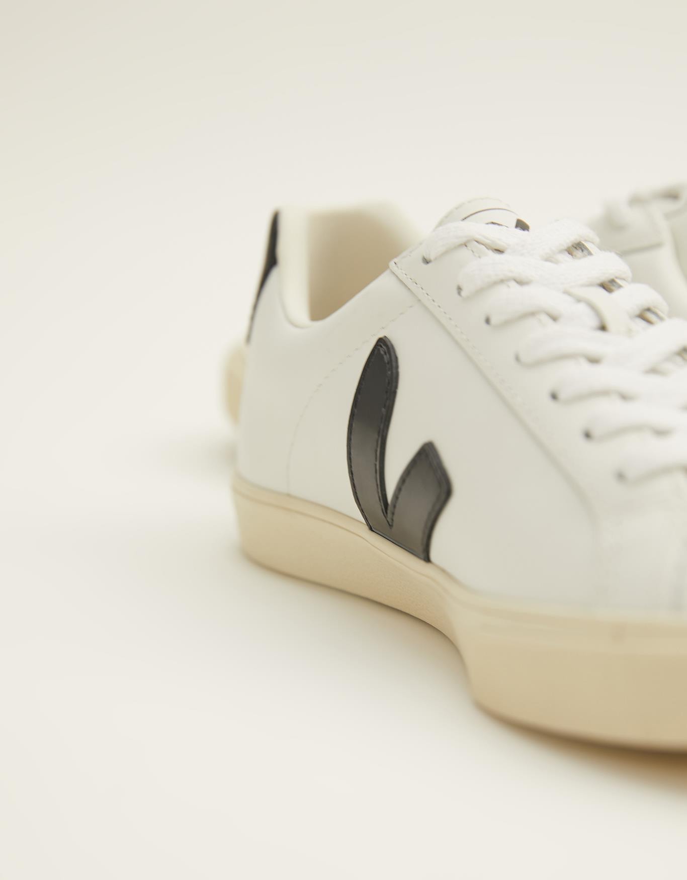 image_9ad703ec-ca87-45c1-82bb-16981852765a