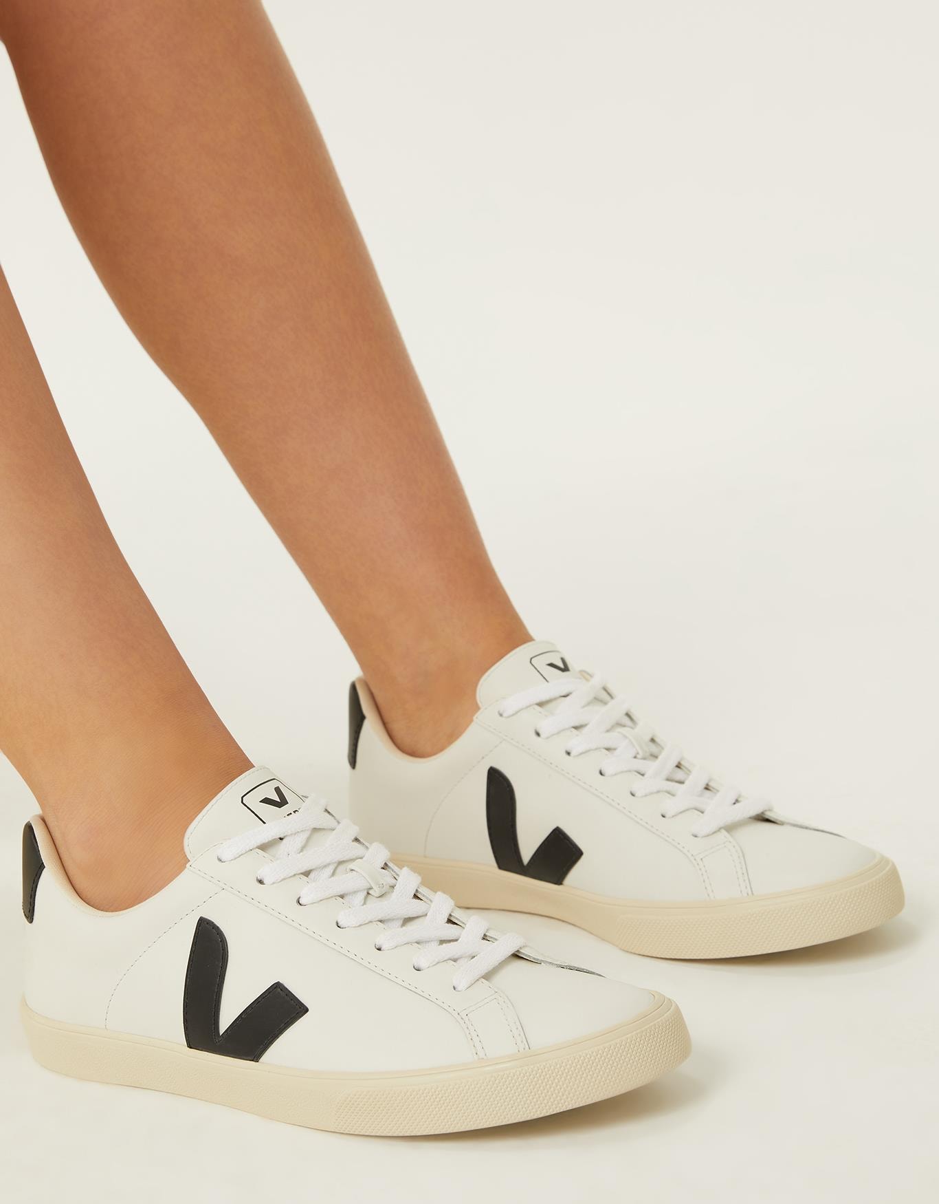 image_20e121fb-e626-4f3d-9fa4-e01b9aa17a28