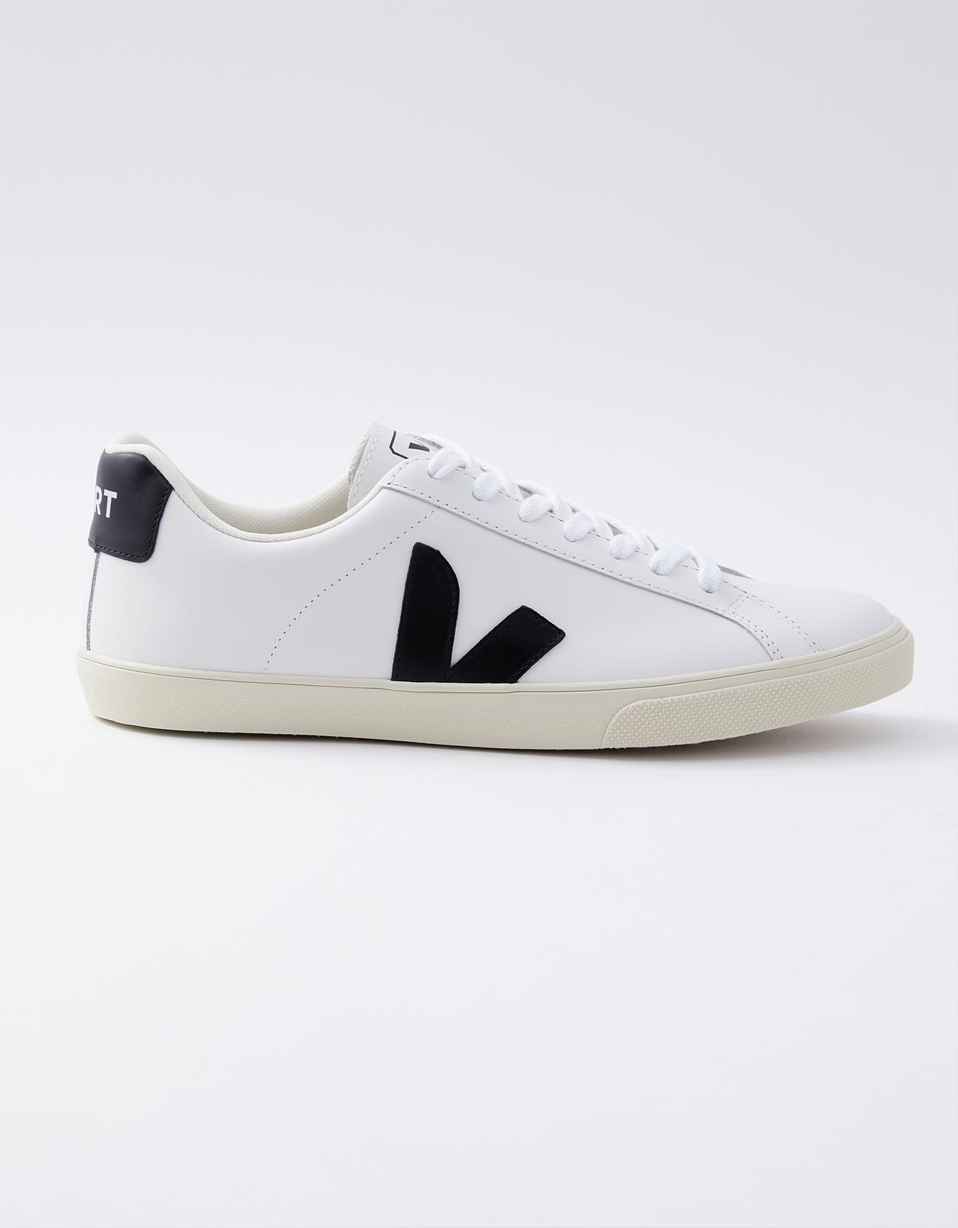 image_a52ce4f5-fe28-4a3c-a927-333a15ebf440