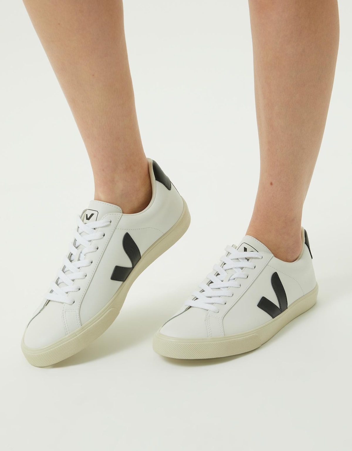 image_424612d1-9115-4b7e-96a0-90bfdb5727ee