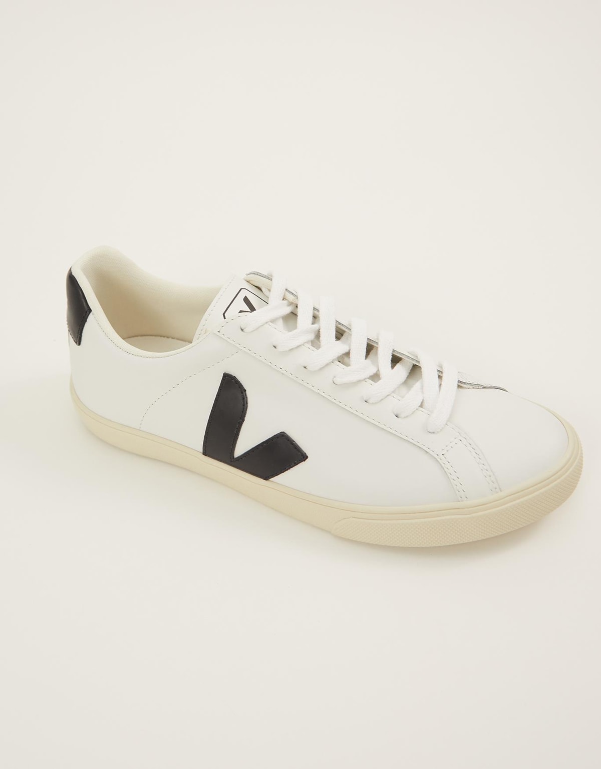 image_3f1a400e-569b-4b2a-9998-25d25cfacff1