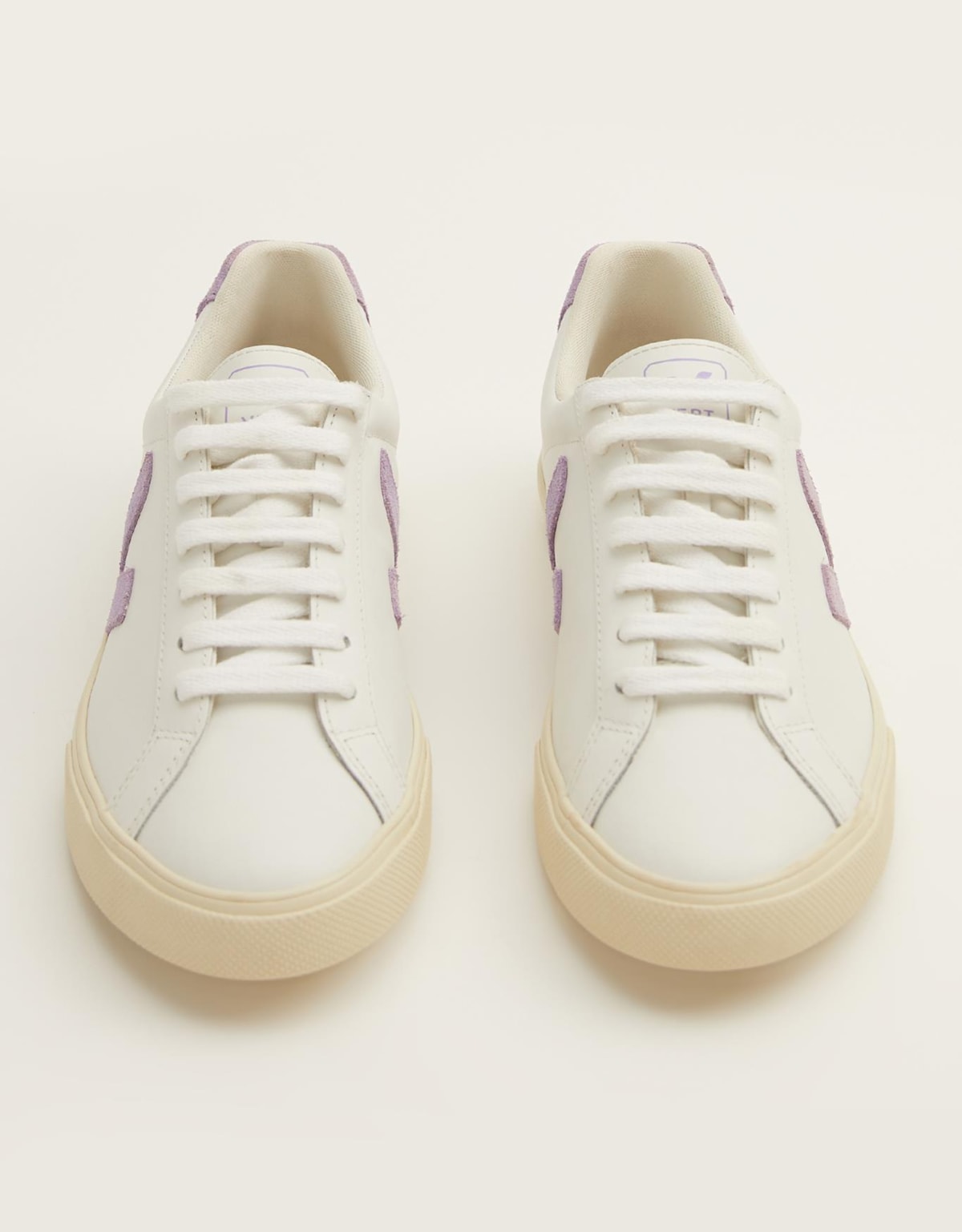 image_ce099cc6-d358-42d4-af13-862b0d7e41bc