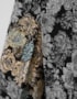image_bc4e8881-565c-4402-844f-08f441a4499b